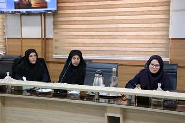 جلسه توسعه دانش مرتبط با سلامت سالمندی 